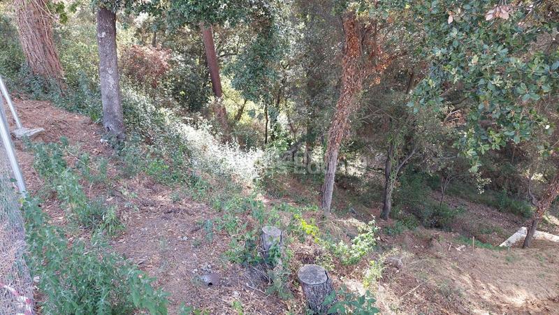 Foto 00aebc1b-a9e1-4b3f-ab34-ad867d44a9c1. Residential plot in Can Massuet del Far Dosrius