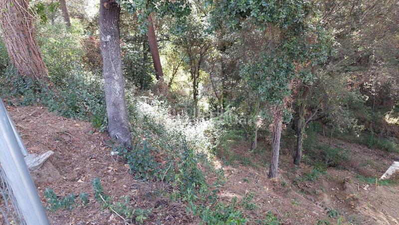 Foto fcea0700-e0a2-4fd9-b58b-f133751cf31f. Residential plot in Can Massuet del Far Dosrius