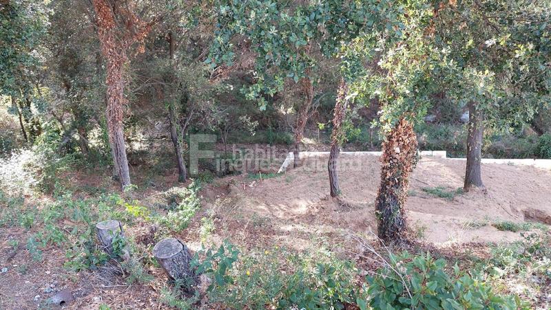 Foto a77d4a2a-60da-4eb1-9750-d83833a48cc0. Terrain résidentiel dans Can Massuet del Far Dosrius