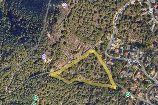 Terrain résidentiel à Nucli Urbà. Terreno forestal en venta en argentona  13.597 m de naturaleza y