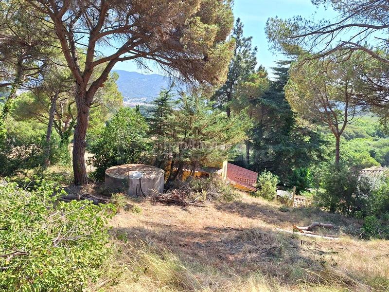 Foto a7d6f2ec-ce30-4bb7-9173-fa34365f46e0. Terrain résidentiel dans Nucli Urbà Argentona