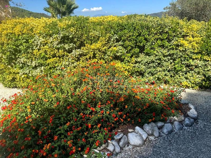 Foto db614d26-c3af-422a-b57b-d1b89c9db8e1. Haus mit heizung pool in Nucli Urbà Argentona