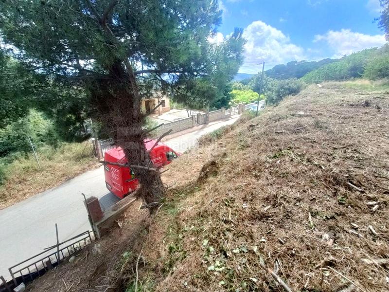 Foto d04f4cf0-fe75-4f36-b402-2a6d87b437a1. Terrain résidentiel dans Can Massuet del Far Dosrius