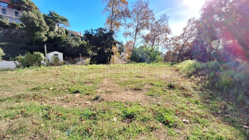 Foto 5a566246-de0f-460a-978f-f08029fef0a5. Terreny residencial a Can Massuet del Far Dosrius