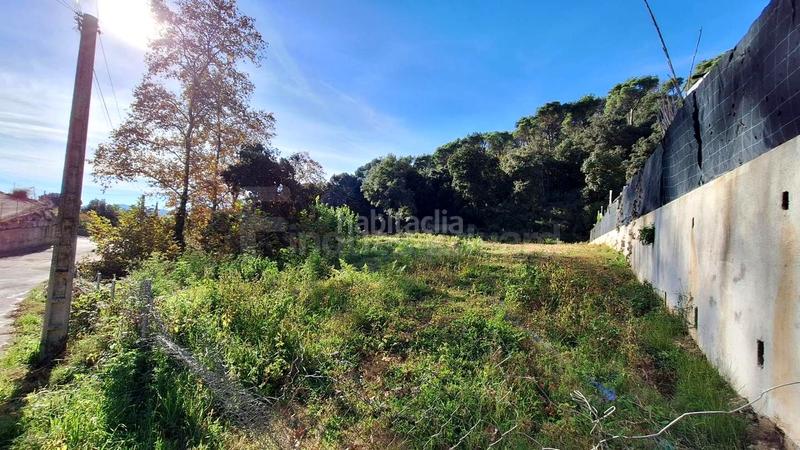 Foto 78dd66a0-4dc7-442b-bebf-f3b22326d735. Terreny residencial a Can Massuet del Far Dosrius