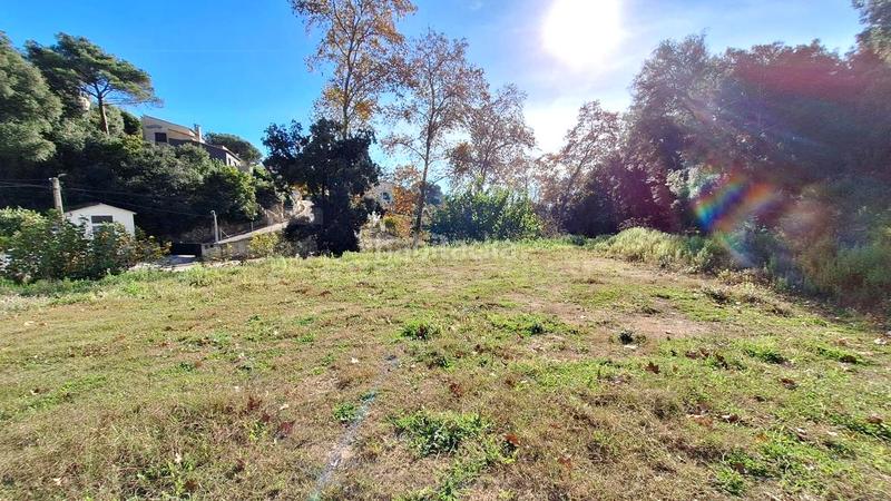 Foto 84bae703-9ced-4e7f-90fe-0ddd23cd21c7. Terreny residencial a Can Massuet del Far Dosrius