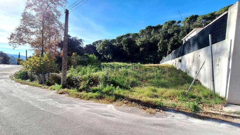 Foto d7018bf0-54d8-41e1-8dac-3802f8d97632. Terreny residencial a Can Massuet del Far Dosrius