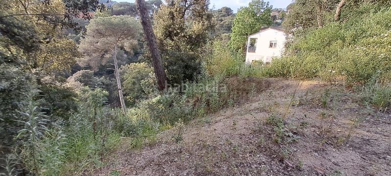 Foto 2030bd0c-0f25-4a6d-b399-84cdb4a89114. Terreny residencial a Can Massuet del Far Dosrius