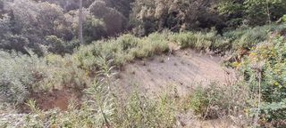 Residential Plot in Can Massuet del Far. Terreno con licencia y proyecto en la entrada de can massuet