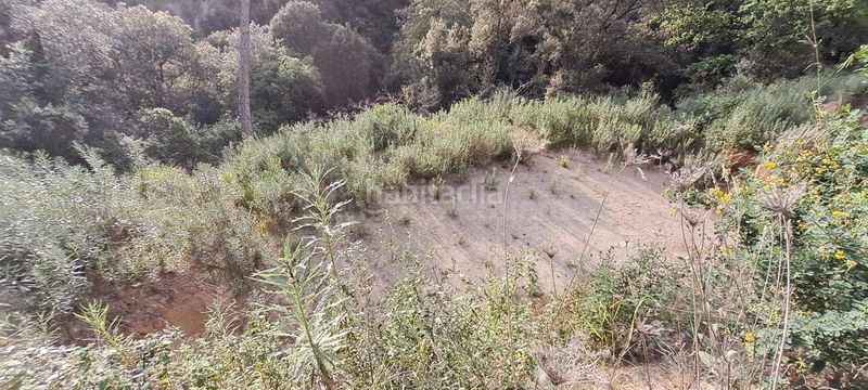 Foto 971c6e20-2980-4d09-8909-e39eb12f9553. Terreny residencial a Can Massuet del Far Dosrius