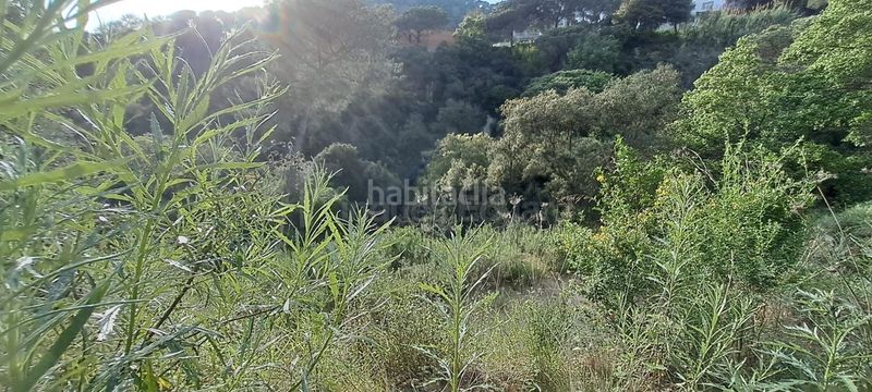 Foto cf7110ae-8442-487a-900c-da36a10be835. Terreny residencial a Can Massuet del Far Dosrius
