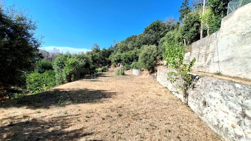 Foto 448c11b8-8dcf-4243-850d-c3d20749b784. Terreny residencial a Òrrius
