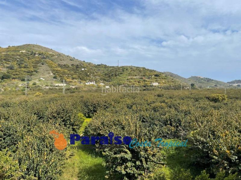 Foto 475e8f2c-8ad6-482d-9d1d-54f9ebf828a8. Pis a carretera del suspiro 48 a Almuñecar centro Almuñécar