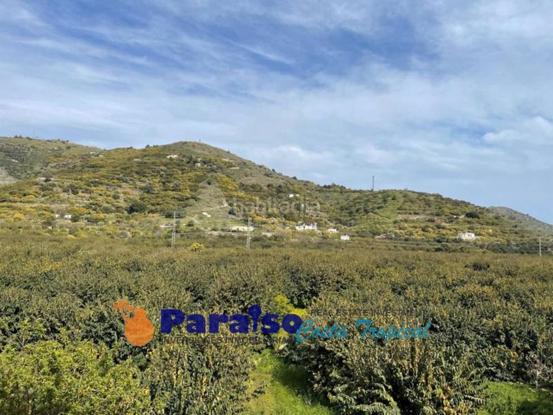 Foto 4fe7a12c-1f90-4c93-9f01-923dab62fc2d. Pis a carretera del suspiro 48 a Almuñecar centro Almuñécar