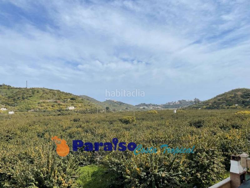 Foto 6db1ce0a-0221-4558-b7ec-46f38b5db789. Pis a carretera del suspiro 48 a Almuñecar centro Almuñécar