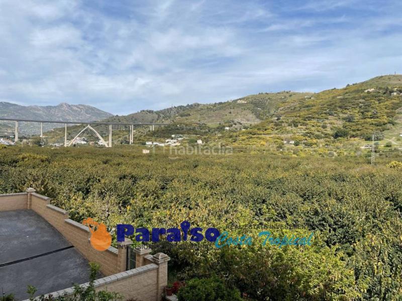 Foto c4bc9296-0e29-4e36-b8a8-09019e75efa9. Pis a carretera del suspiro 48 a Almuñecar centro Almuñécar