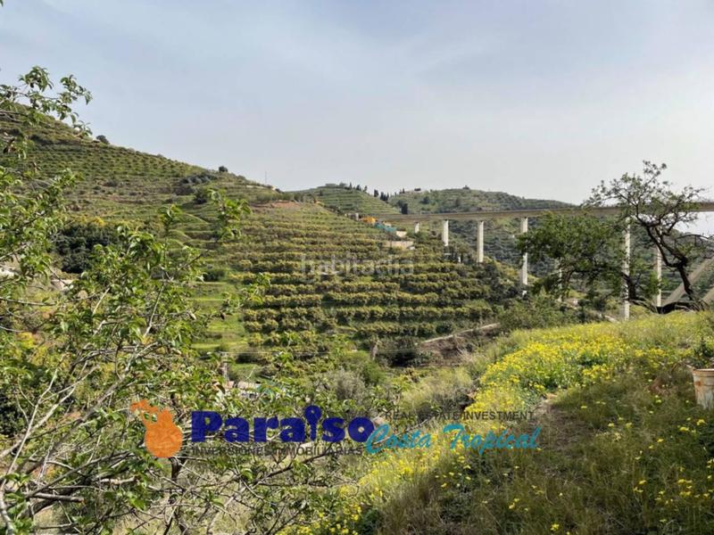 Foto 049380cd-7587-4706-8a08-929caa5c894f. Edificio finca con apero en barranco de itrabo en Almuñécar