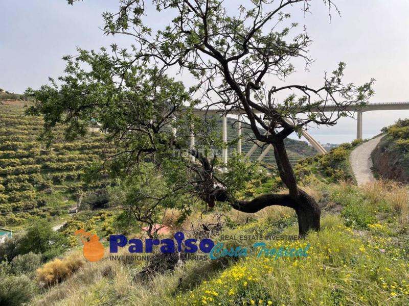 Foto 163299a1-4432-48f0-a9f1-6625ebc1b463. Edificio finca con apero en barranco de itrabo en Almuñécar