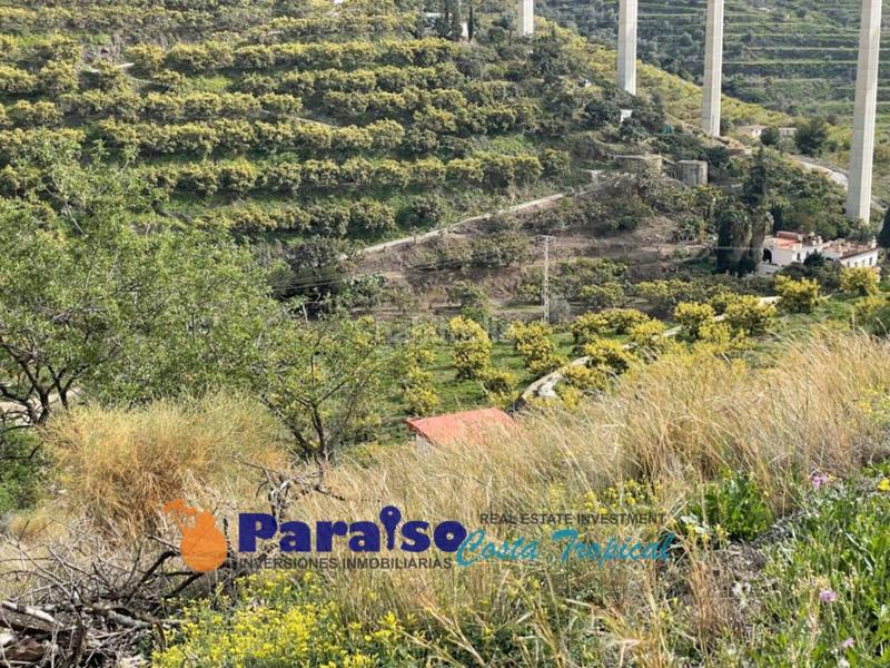 Foto 1e4b8755-4d59-409f-a543-4bac83acdb6b. Edificio finca con apero en barranco de itrabo en Almuñécar