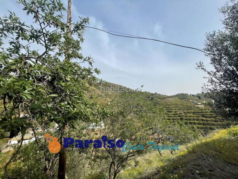 Foto 2215b63d-bfe9-45ce-a926-e3dd5e984a8e. Edificio finca con apero en barranco de itrabo en Almuñécar