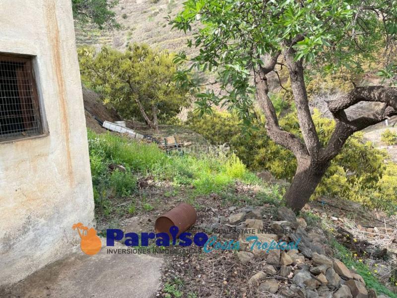 Foto 4900b25e-f247-4889-a2f5-6e1ffa8dc2ba. Edificio finca con apero en barranco de itrabo en Almuñécar