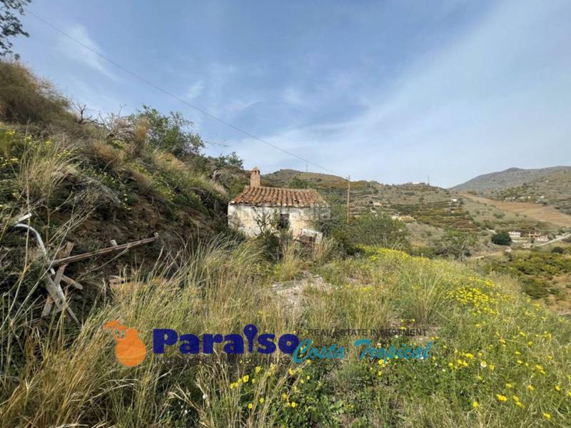 Foto 499cc499-73ea-4126-886e-13f9c965dd21. Edificio finca con apero en barranco de itrabo en Almuñécar