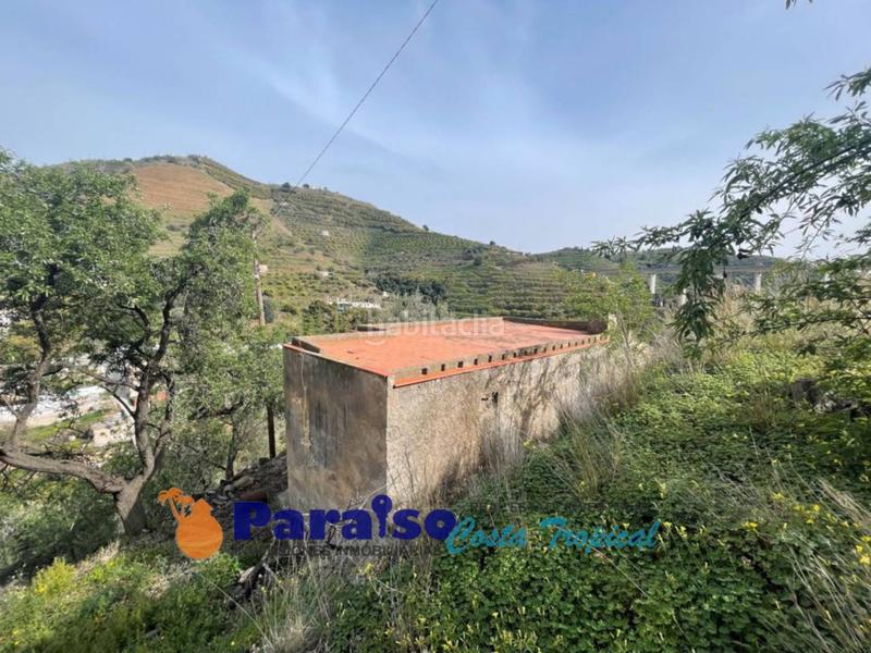Foto 817d0c04-7e19-4156-9367-a960b8913eba. Edificio finca con apero en barranco de itrabo en Almuñécar