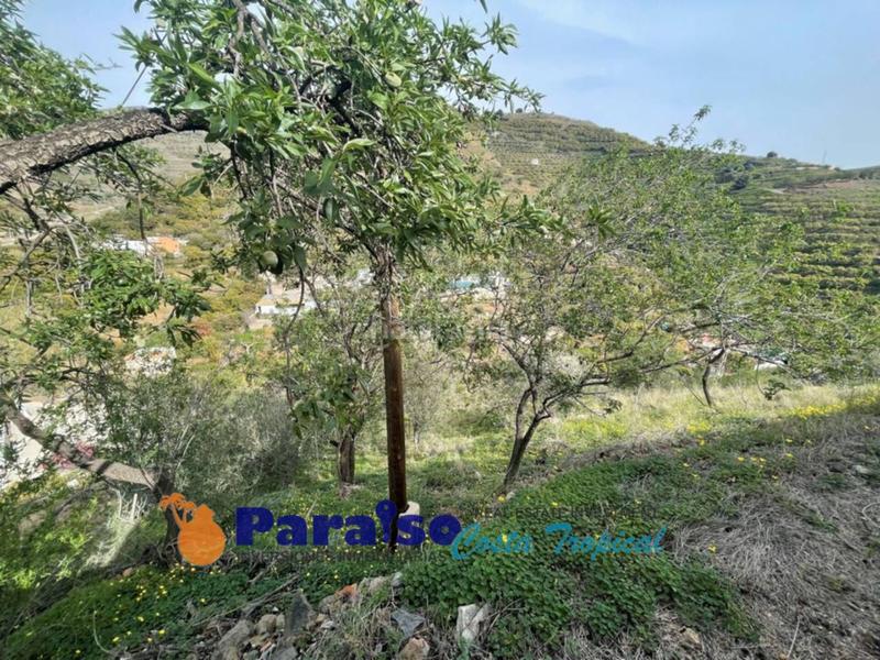Foto 9e9860c1-2875-429c-a917-fc46d83caee4. Edificio finca con apero en barranco de itrabo en Almuñécar