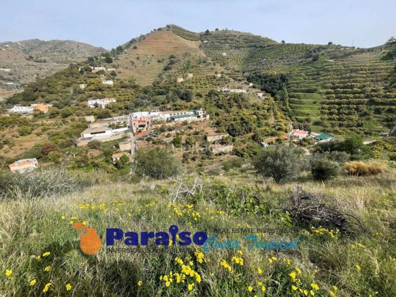 Foto b25fd210-08ff-458c-979c-48bec79ef18a. Edificio finca con apero en barranco de itrabo en Almuñécar