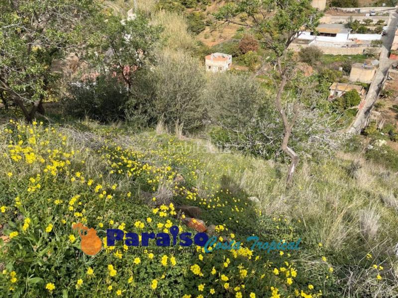 Foto bd62b809-de93-44e6-8630-5c7a7e950267. Edificio finca con apero en barranco de itrabo en Almuñécar