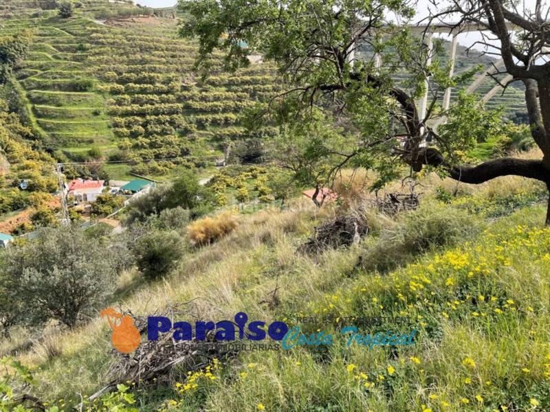 Foto d7256e02-db62-46cc-8d8e-c618d6e5dcf1. Edificio finca con apero en barranco de itrabo en Almuñécar