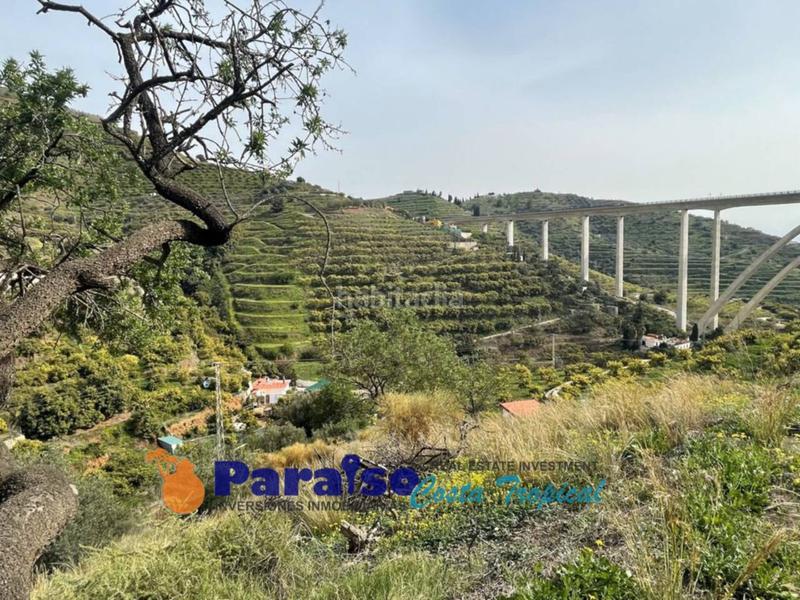 Foto fed152f3-ab64-4388-98d4-f194fce985cb. Edificio finca con apero en barranco de itrabo en Almuñécar