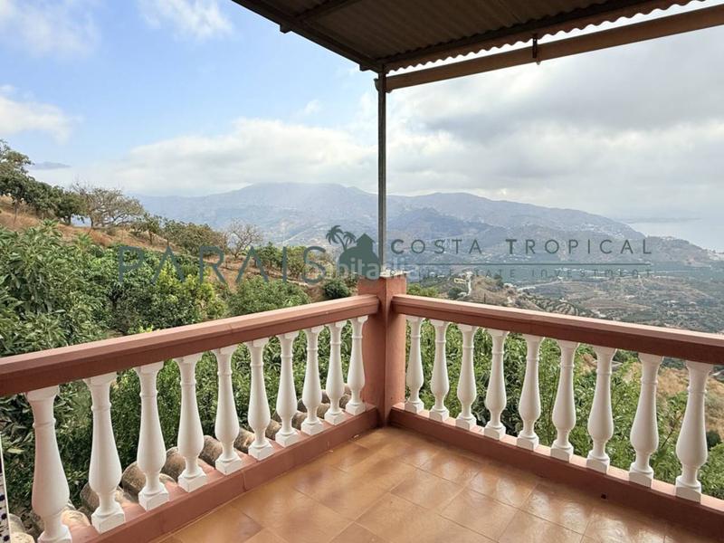 Foto 7c48beb9-728e-4763-a985-fbea6a6f0faf. Masia a rancho río verde 1 a El Rescate - Río Seco Almuñécar