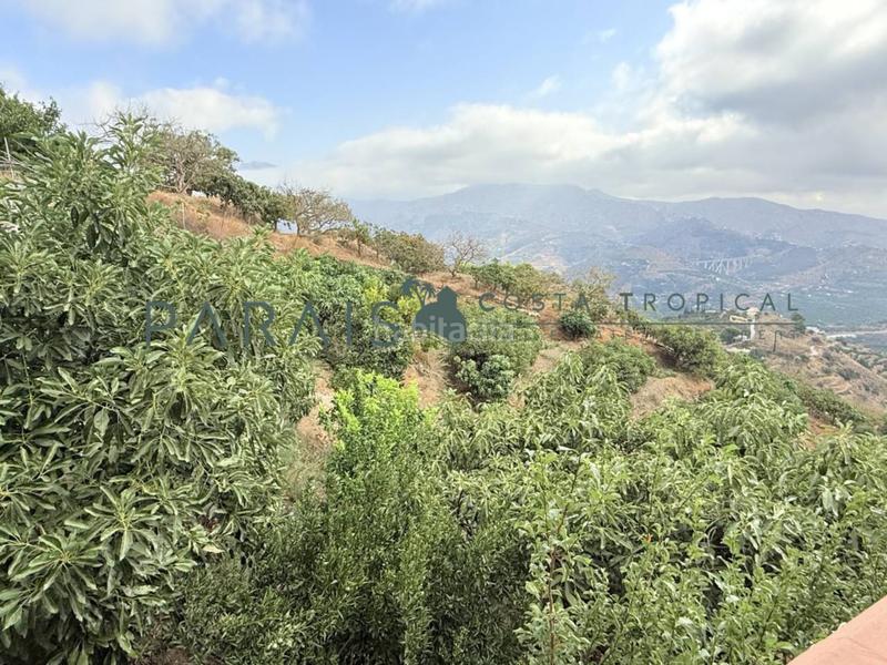 Foto 9bcfc5cc-ce16-4ce4-882f-b78a60840e19. Masia a rancho río verde 1 a El Rescate - Río Seco Almuñécar