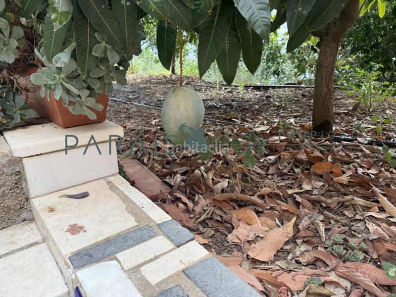 Foto a0c25e28-097d-4ca7-9893-78919e65ae16. Masia a rancho río verde 1 a El Rescate - Río Seco Almuñécar