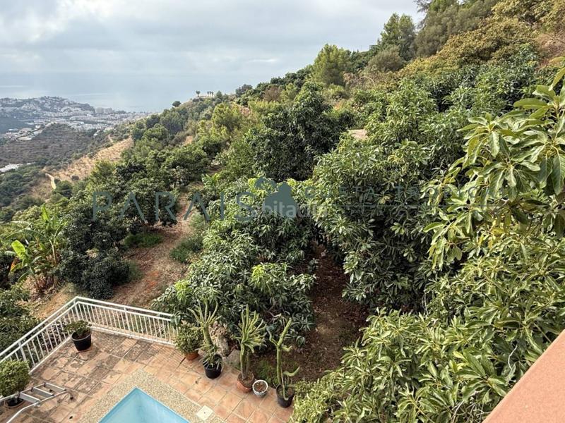 Foto e6ce0a88-dc2a-44cc-a087-91643b0e079d. Masia a rancho río verde 1 a El Rescate - Río Seco Almuñécar