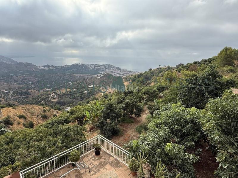 Foto edaa6cad-9909-41b5-a9c8-46a7796c55cc. Masia a rancho río verde 1 a El Rescate - Río Seco Almuñécar