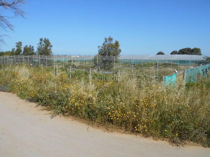 Foto 08543d3e-27b7-4921-8c8c-092e274fa405. Terreny residencial a Norte - Blanca Paloma Rota