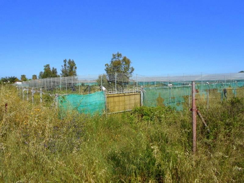 Foto 0cbdb6a6-8b56-4426-9520-7bcbc44589c3. Terreny residencial a Norte - Blanca Paloma Rota