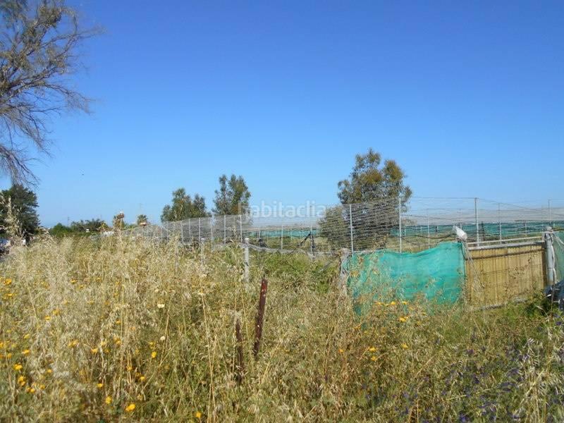 Foto 33876bae-208d-4d62-a615-02f05aa63f80. Terreny residencial a Norte - Blanca Paloma Rota