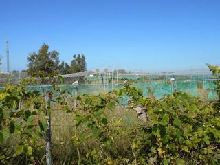 Terreny residencial a Norte - Blanca Paloma. Finca rústica en ctra de rota