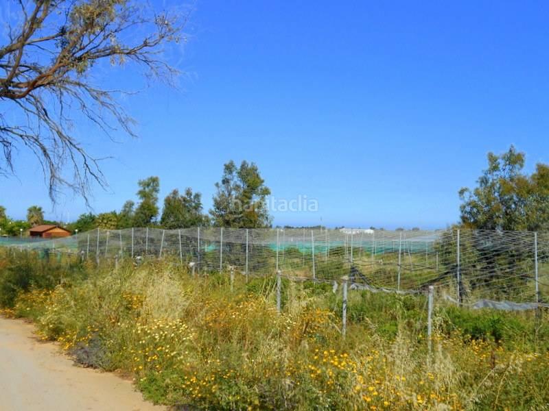 Foto eedaa916-40b7-477c-bac6-6e4b91a87d6f. Terreny residencial a Norte - Blanca Paloma Rota