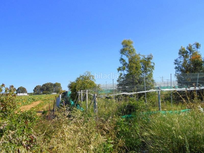 Foto fcfc4685-38f6-42dd-9b84-caf4ced2a456. Terreny residencial a Norte - Blanca Paloma Rota