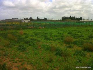 Terreny residencial a Chipiona Norte