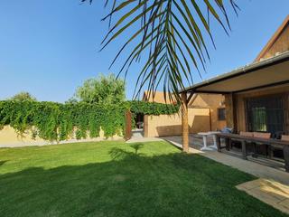Casa a Las Tres Piedras - Costa Ballena. Dos parcelas rústicas con casas independientes que se venden jun