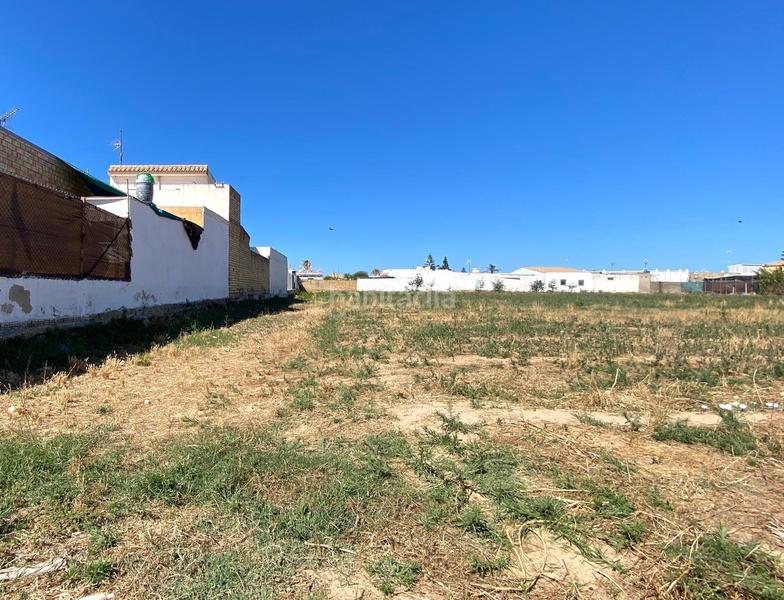 Foto a5754784-7ea3-4589-9a5b-d45bbbe801fc. Masia a Las Tres Piedras - Costa Ballena Chipiona