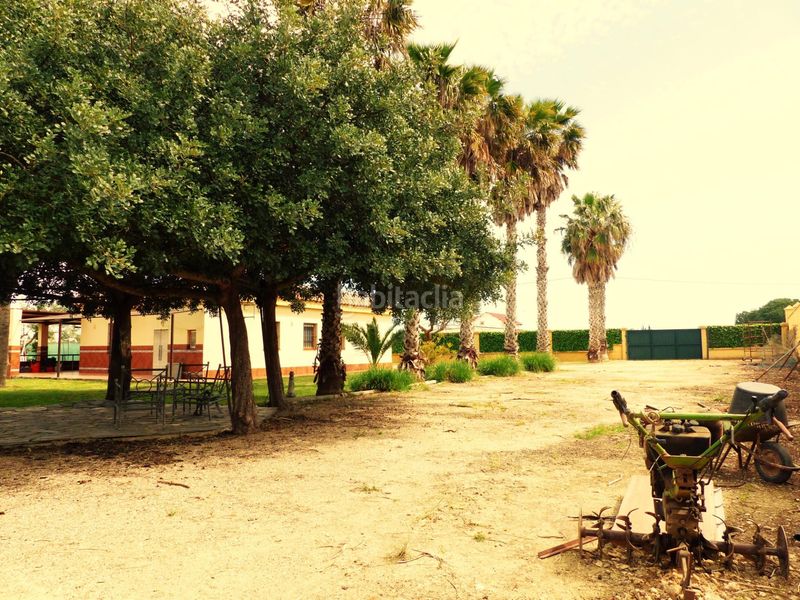Foto ce66cec8-3a62-4793-b527-339b323349eb. Masia amb aparcament a La Jara Sanlúcar de Barrameda