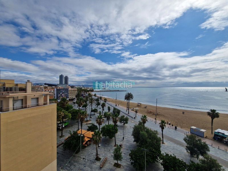 Foto 3a883122-742d-41fd-992c-7be1711480da. Pis amb terrassa a Barceloneta Barcelona