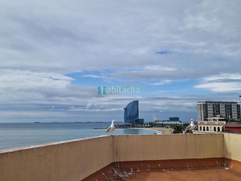 Foto fe0992e7-ce33-41b1-a355-53a369b51349. Pis amb terrassa a Barceloneta Barcelona