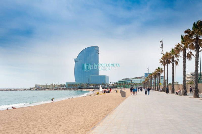 Foto c3e82050-cc33-4a53-837c-4f5ffb7e6bb3. Ático en Barceloneta Barcelona